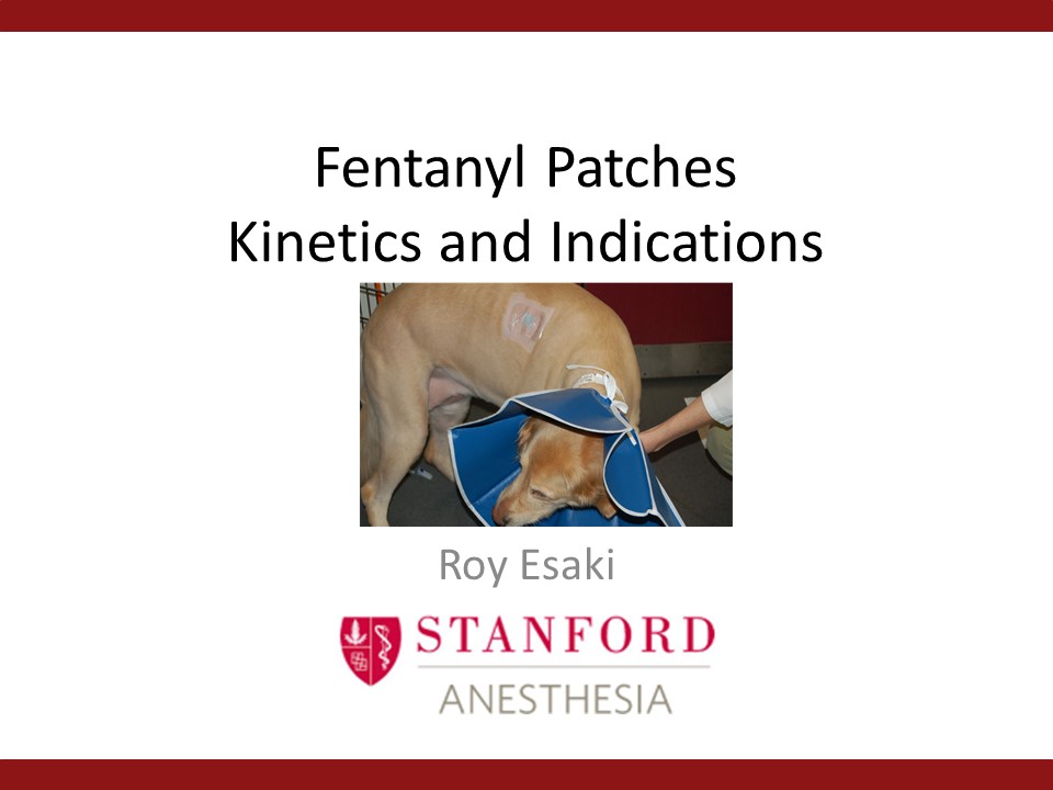 Fentanyl Patches - Kinetics and Indications