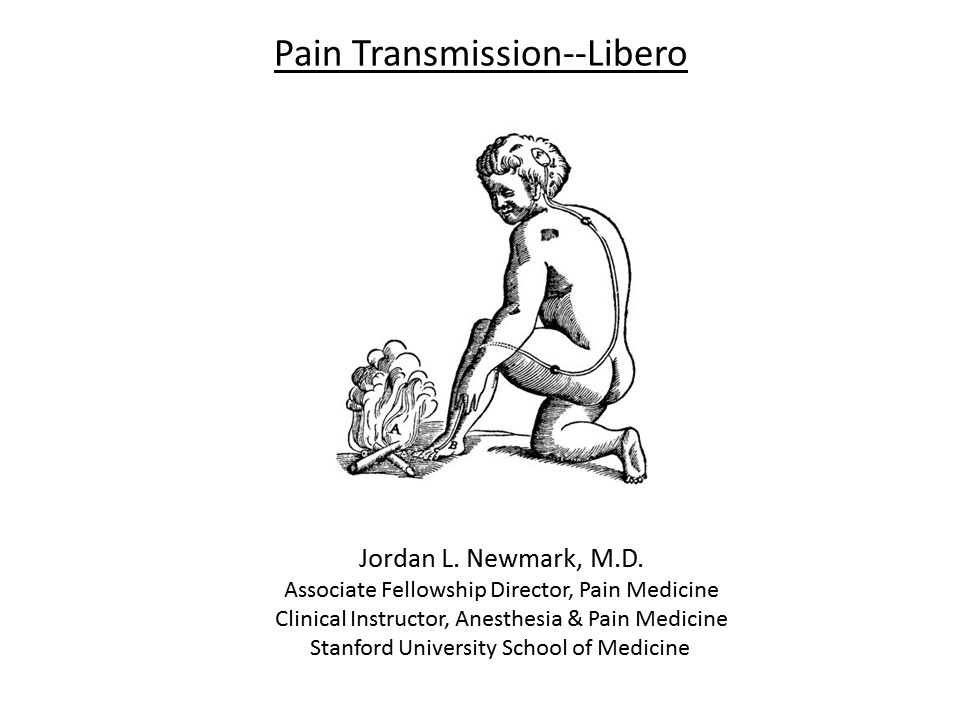 Pain Transmission--Libero
