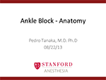 Ankle Block - Anatomy