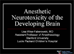 Anesthetic Neurotoxicity of the Developing Brain