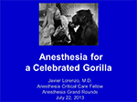 Anethesia for a Celebrated Gorilla