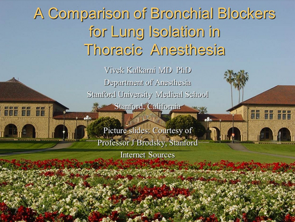 A Comparison of Bronchial Blockers for Lung Isolation in Thoraic Anesthesia