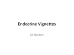 Endocrine Vignettes (Part 2)