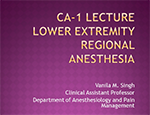 Lower Extremity Regional Anesthesia