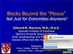 Nerve Blocks Beyond the Plexus